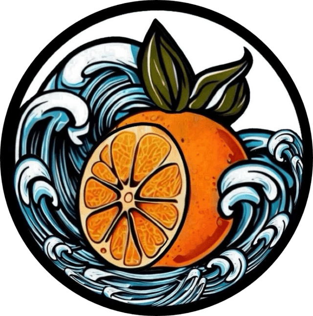 Orange Soft Wash Logo, Home