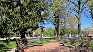 Community Life Around the Village Green and High Street