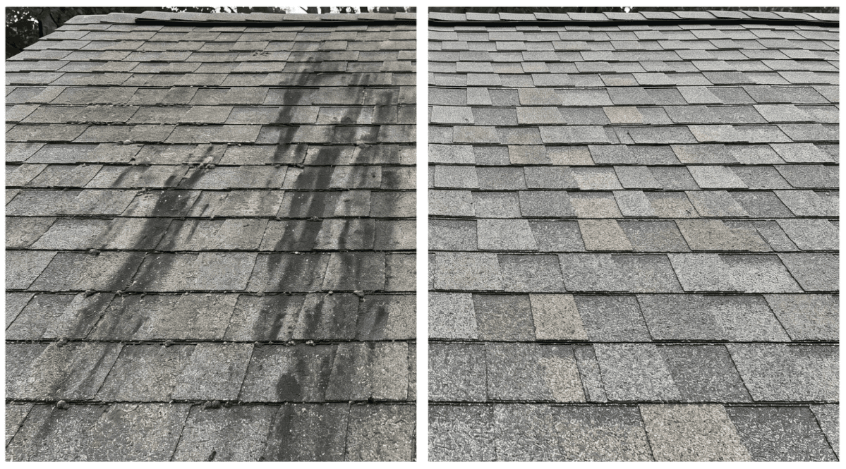What Are Those Black Streaks On Your Roof (And Do They Cause Damage?)